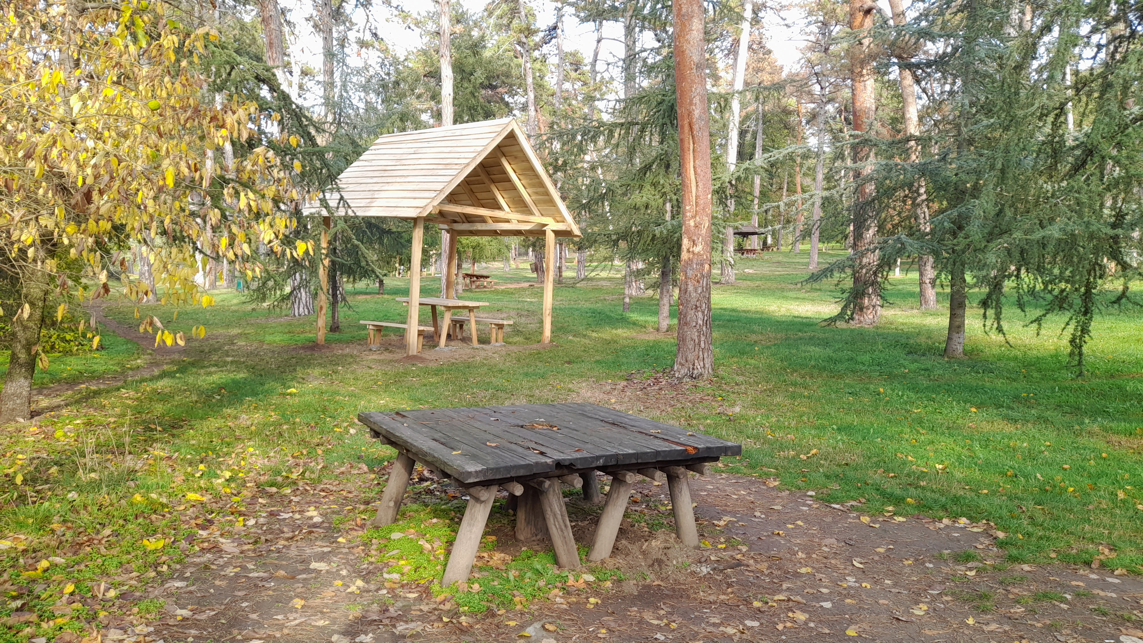 USPON NA AVALU - ZUCE